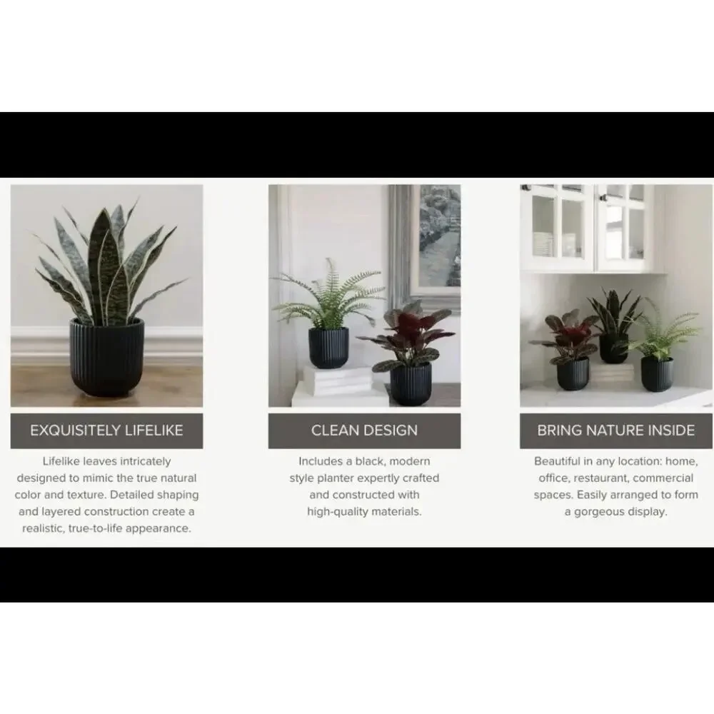 CGH Faux Decorative Plant 3 Pack Snake Fern Prayer Plant Planter Zero Maintenanc